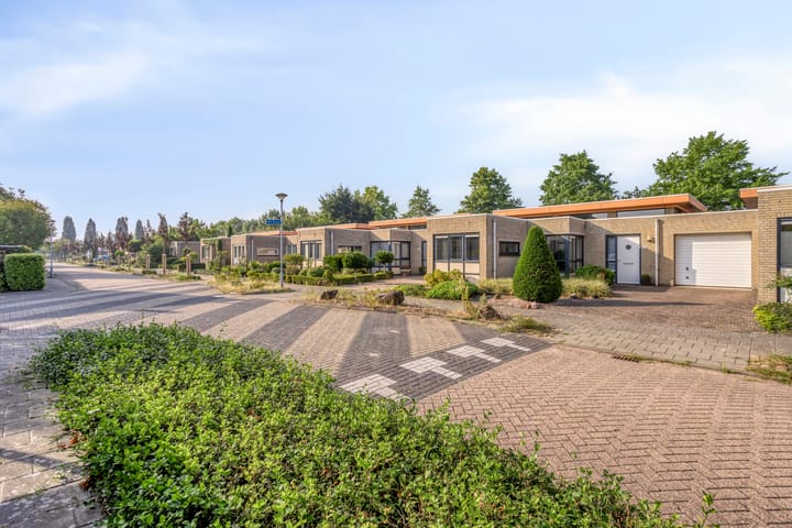 Foto 8 van de Langveter 29