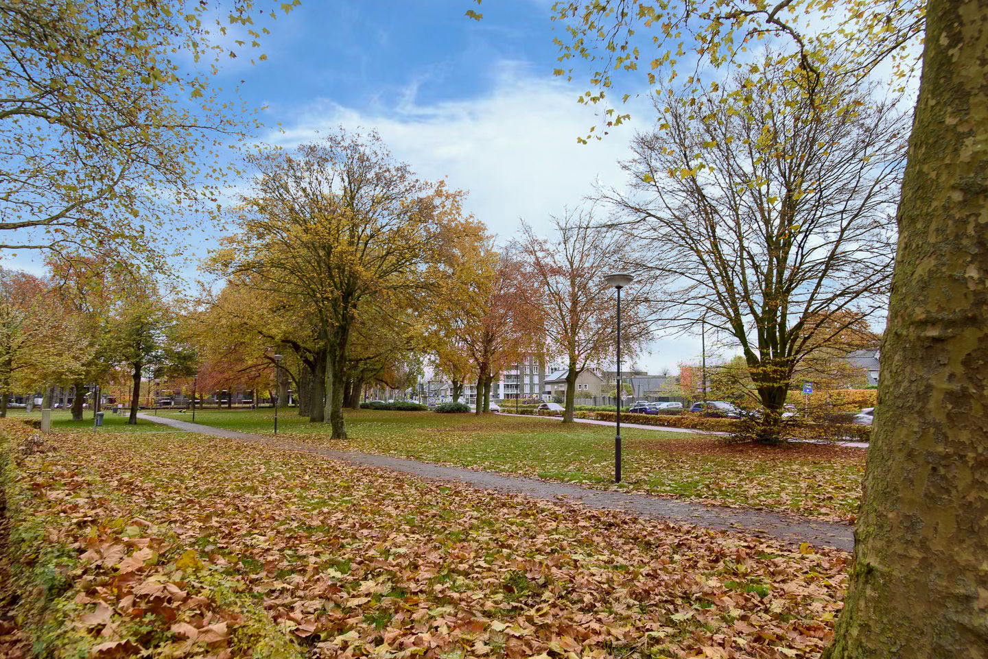 Foto 49 van Karel Mollenstraat Zuid 50