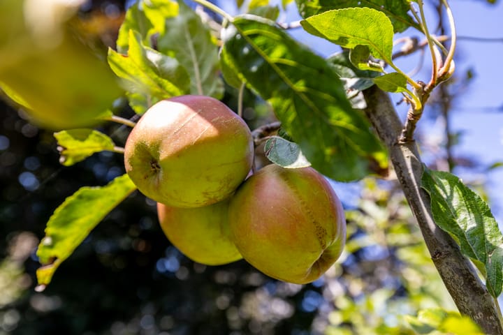 Foto 36 van Etersheim 11