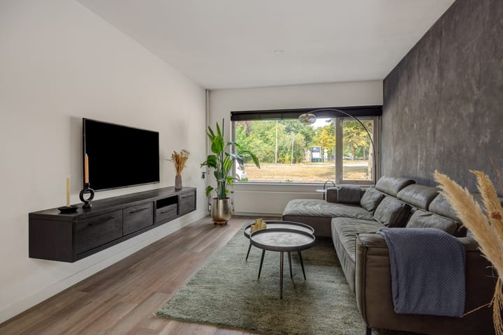 Foto 12 van Schommerveld 52