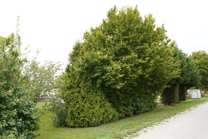 Photo 46 of Ter Moere 4