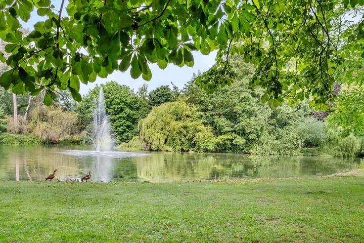 Foto 33 van Mecklenburglaan 20-B