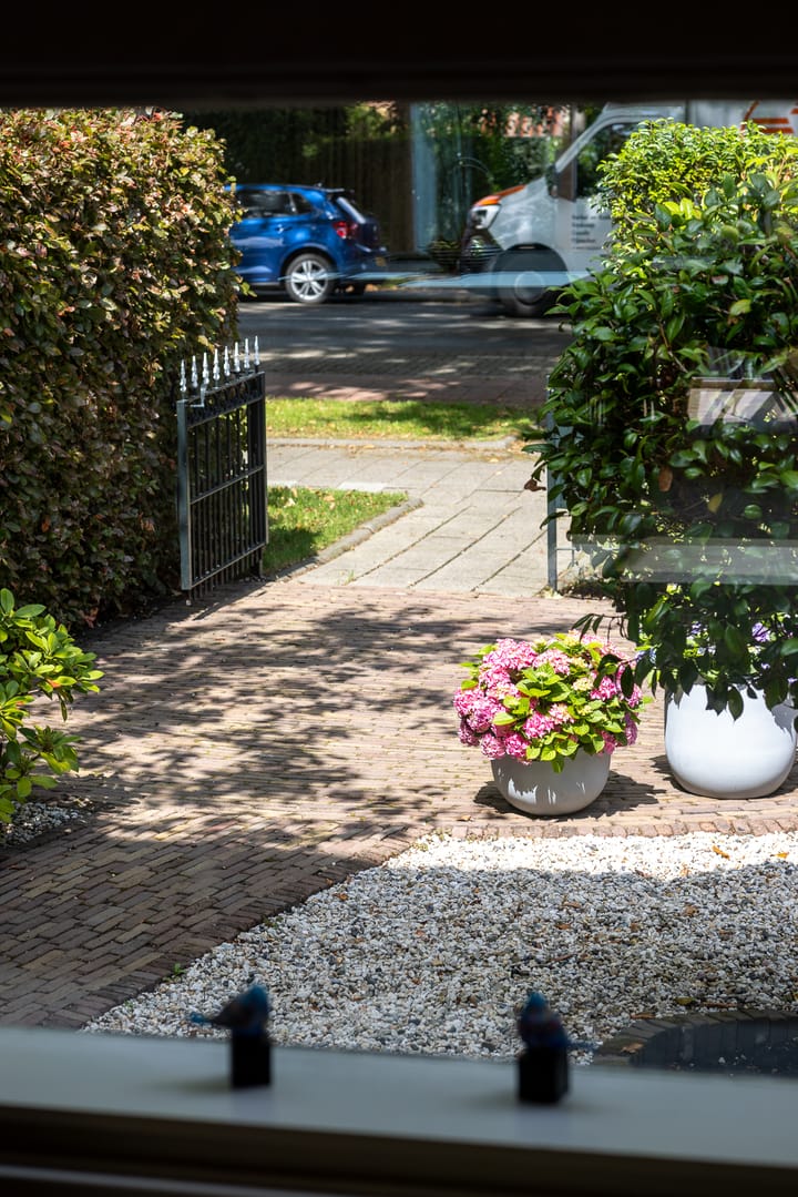 Foto 46 van Molenlaan 158