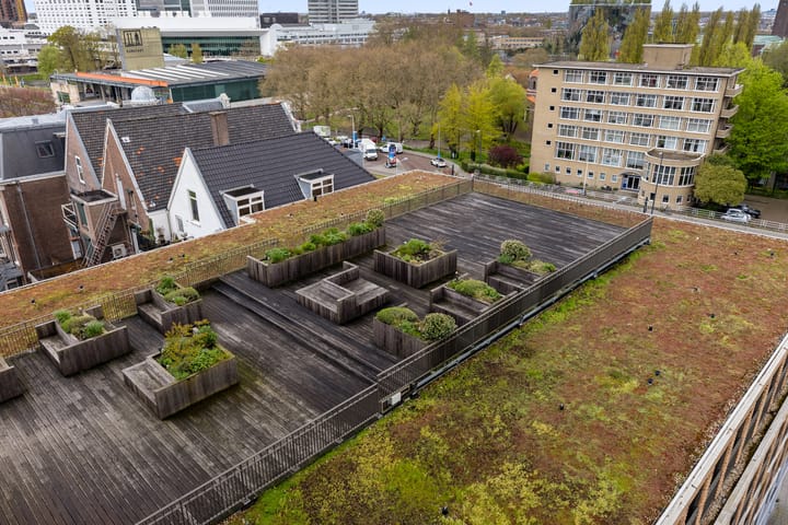 Foto 29 van Van Vollenhovenstraat 3-911