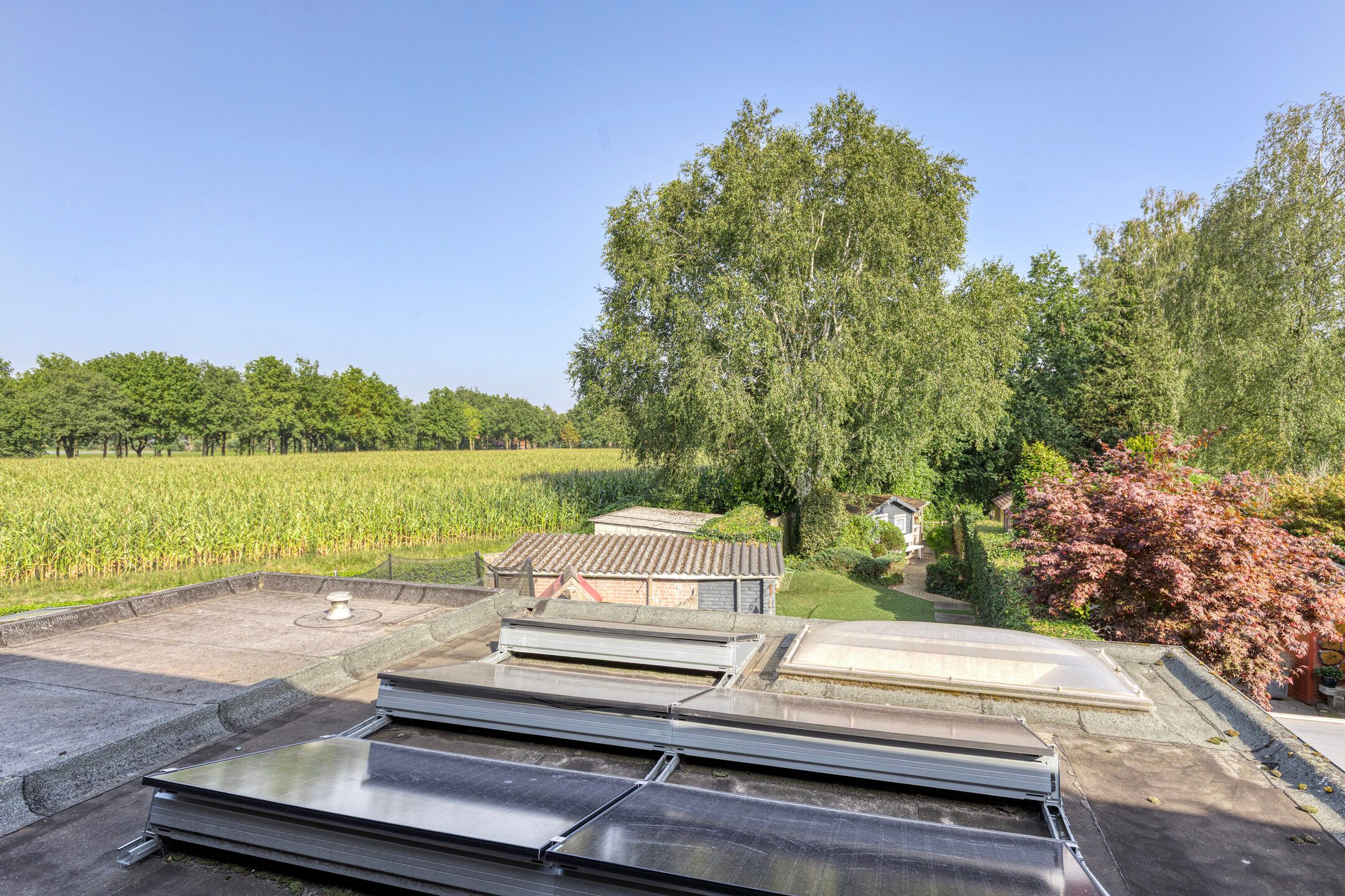 Foto 21 van Orionlaan 23