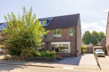 undefined main image