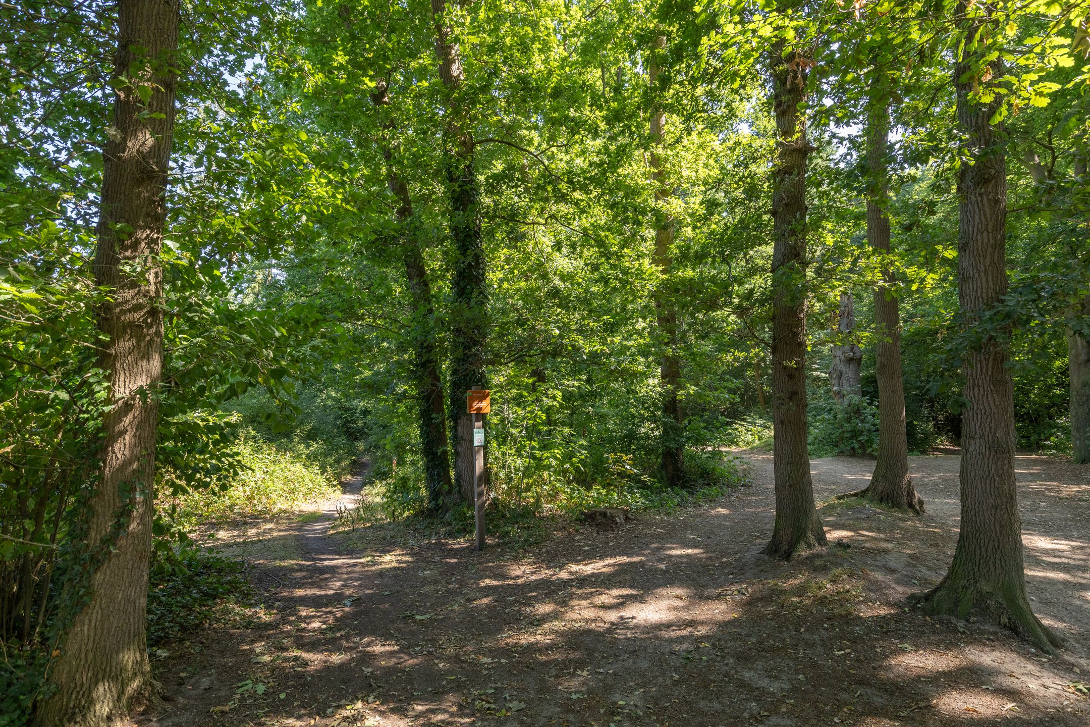 Foto 51 van Prins Bernhardlaan 67