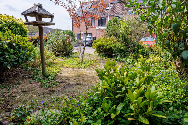 Foto 38 van Royenstein 14