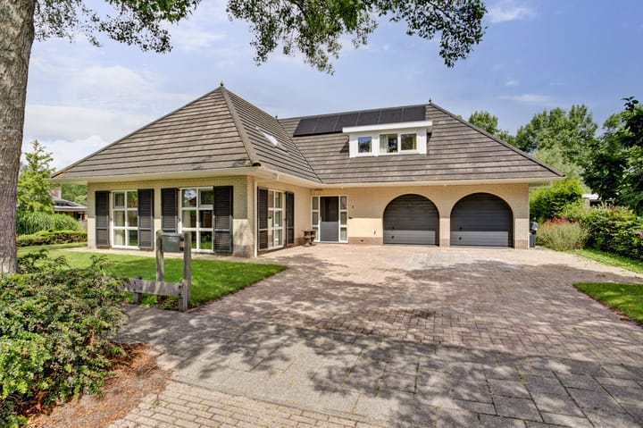 Foto 1 van De Goudplevier 1