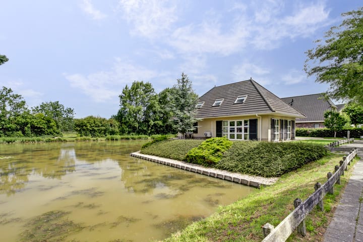 Foto 3 van De Goudplevier 1