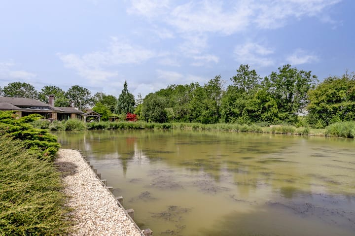 Foto 43 van De Goudplevier 1