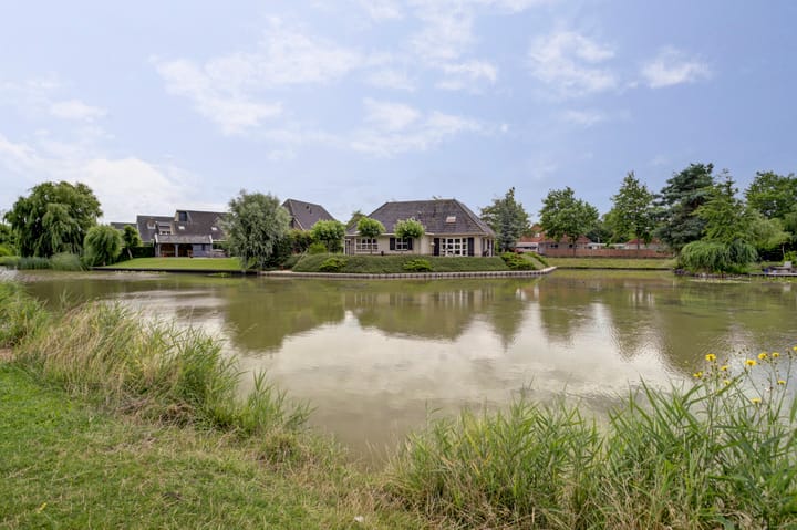 Foto 46 van De Goudplevier 1