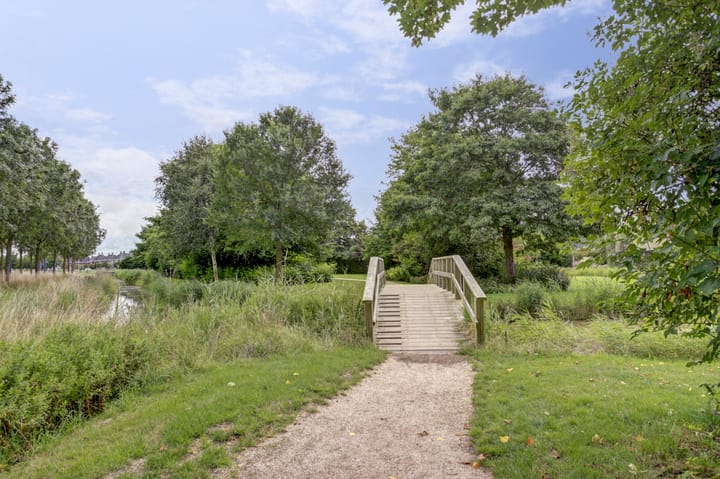 Foto 48 van De Goudplevier 1