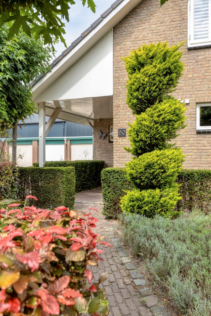 Foto 6 van Fresiastraat 90