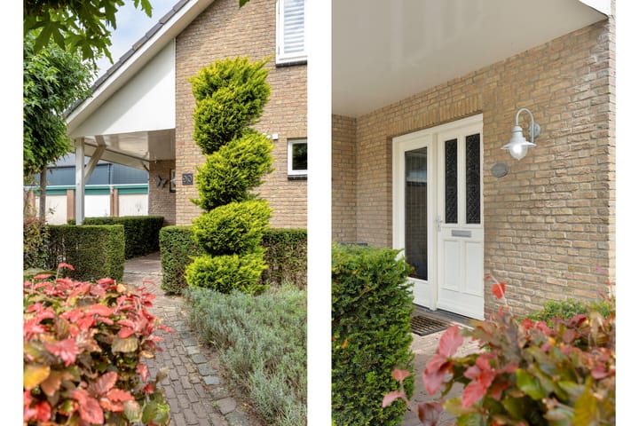 Foto 9 van Fresiastraat 90