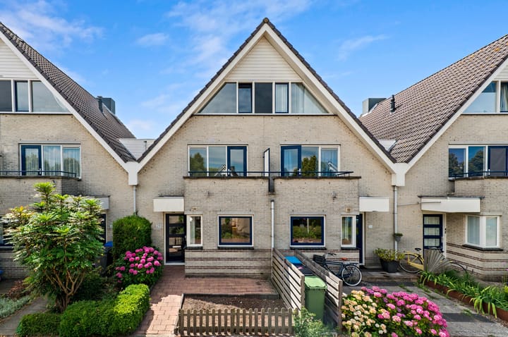 Foto 1 van Dotterbloem 29