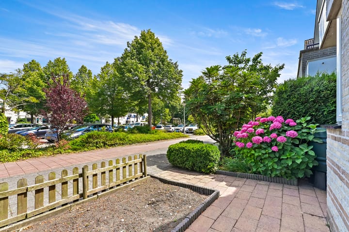 Foto 5 van Dotterbloem 29