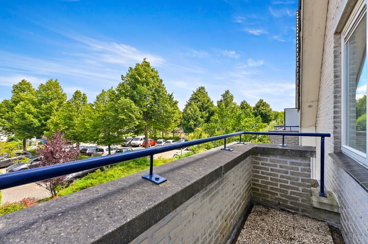 Foto 24 van Dotterbloem 29