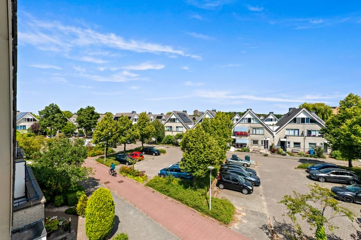 Foto 48 van Dotterbloem 29