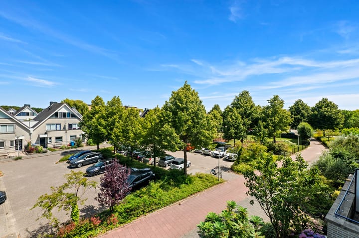 Foto 49 van Dotterbloem 29