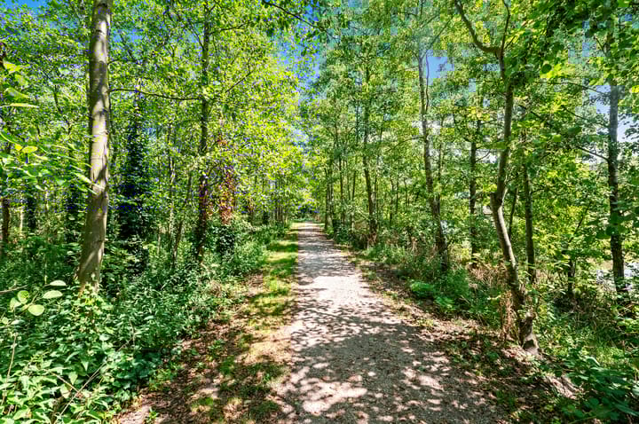 Foto 55 van Dotterbloem 29