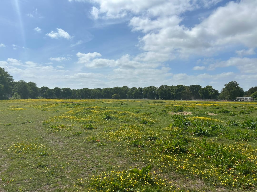 Foto 2 van Zuidlaarderweg 47