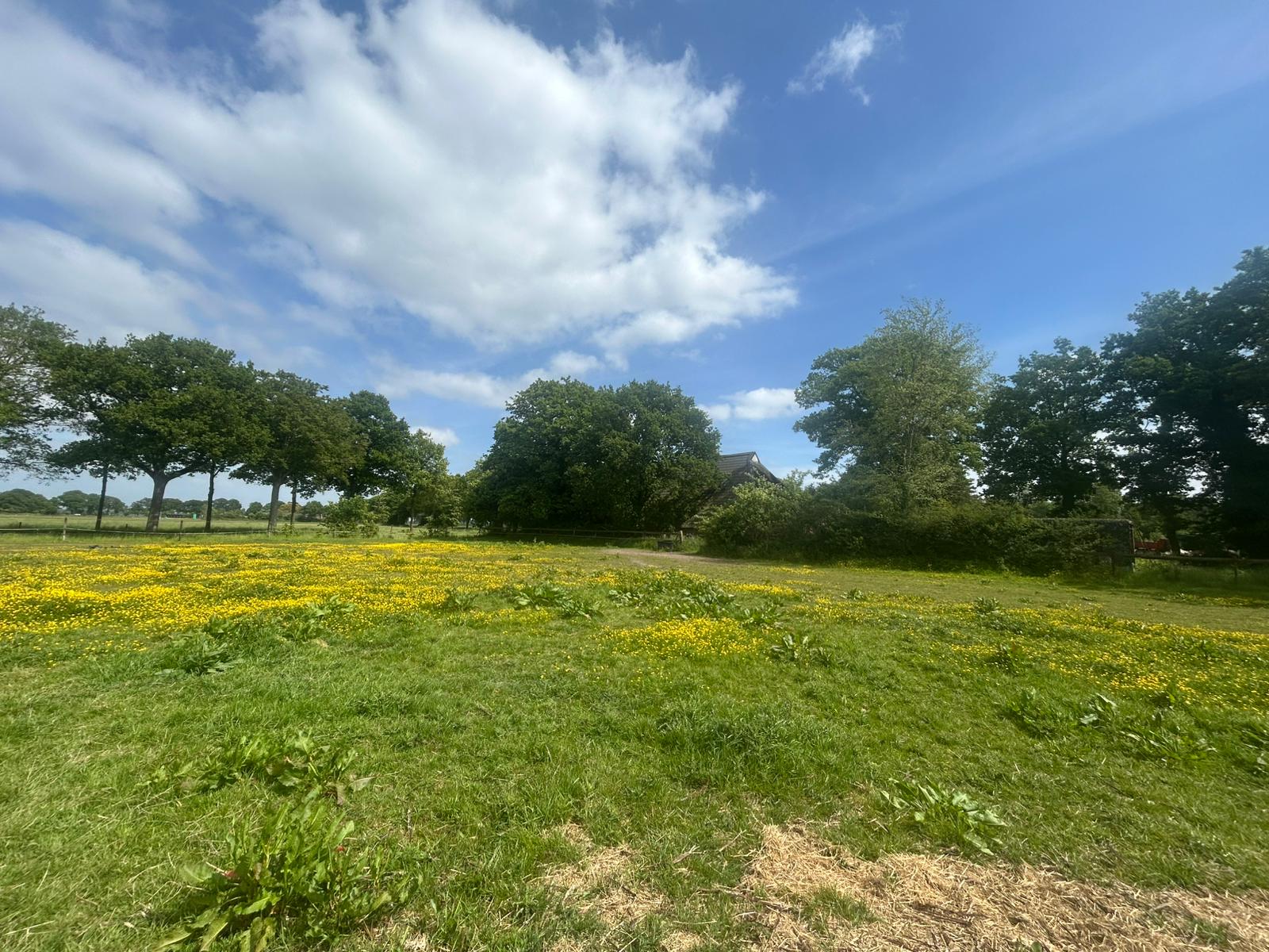 Foto 3 van Zuidlaarderweg 47