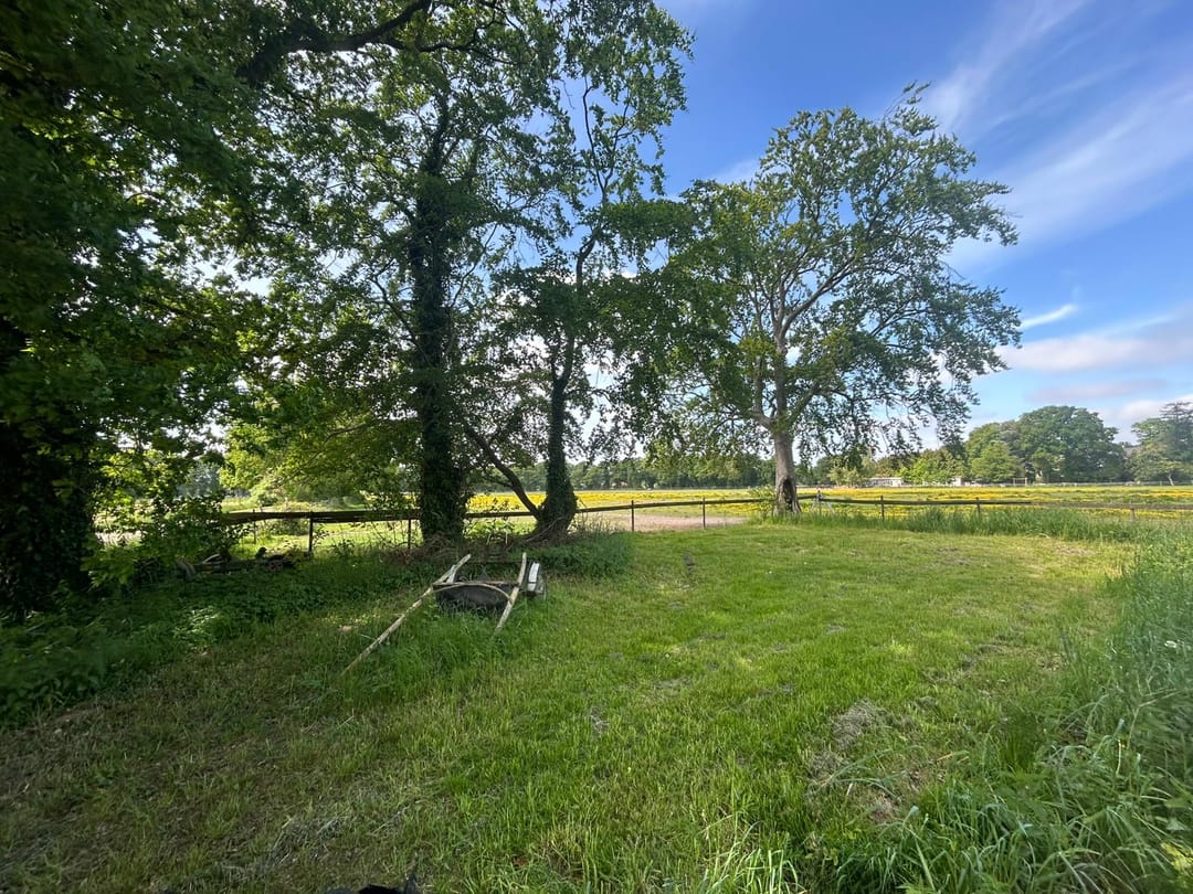 Foto 7 van Zuidlaarderweg 47