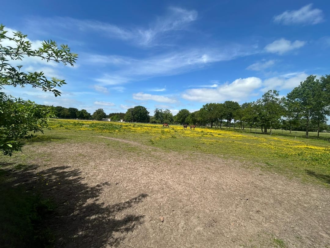 Foto 8 van Zuidlaarderweg 47