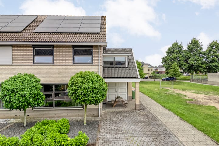 Foto 5 van Pastinaak 32