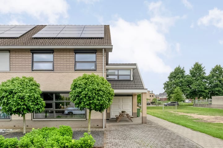 Foto 6 van Pastinaak 32