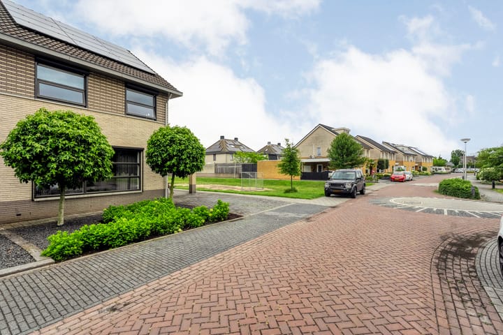 Foto 10 van Pastinaak 32