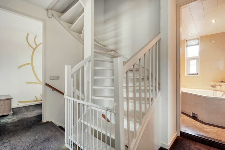 Foto 22 van Pastinaak 32