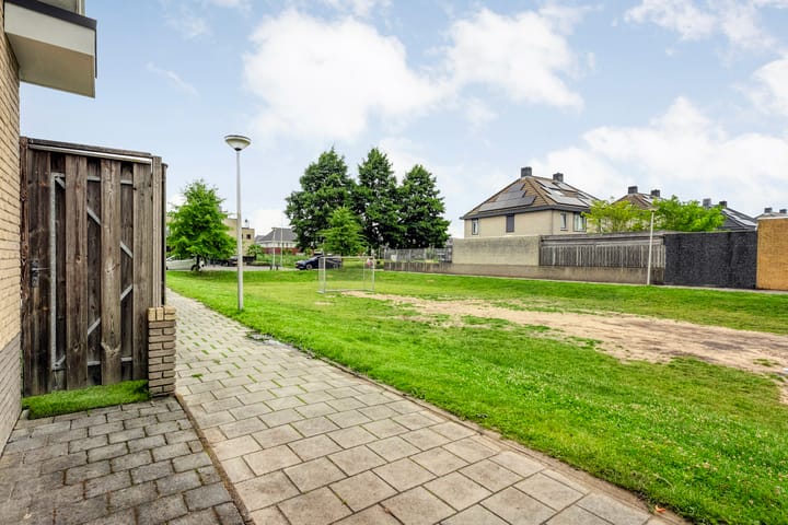 Foto 43 van Pastinaak 32