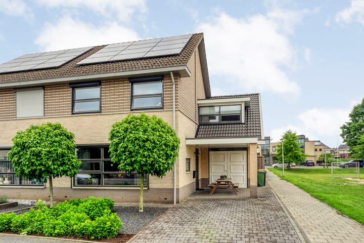 Foto 46 van Pastinaak 32