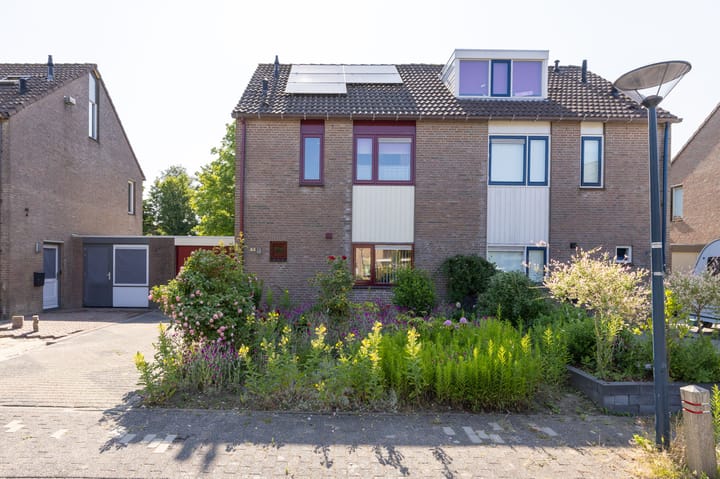 Foto 5 van Binnenplaats 44