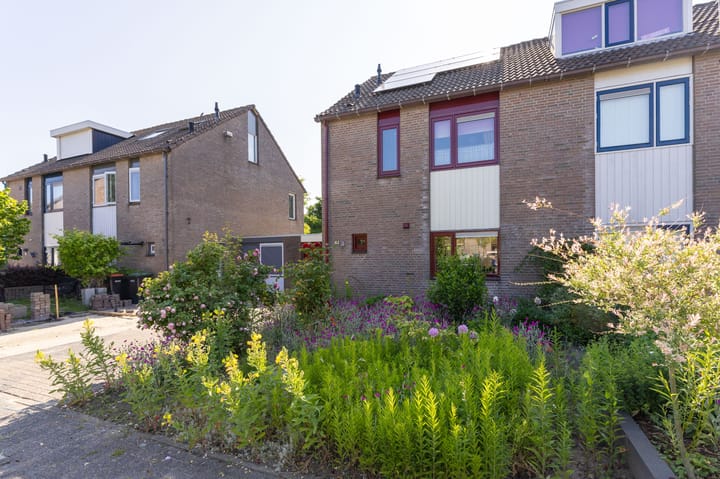 Foto 6 van Binnenplaats 44