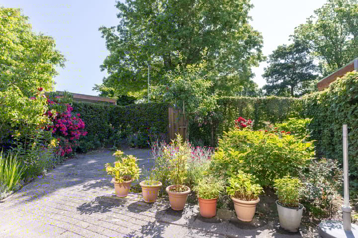 Foto 32 van Binnenplaats 44