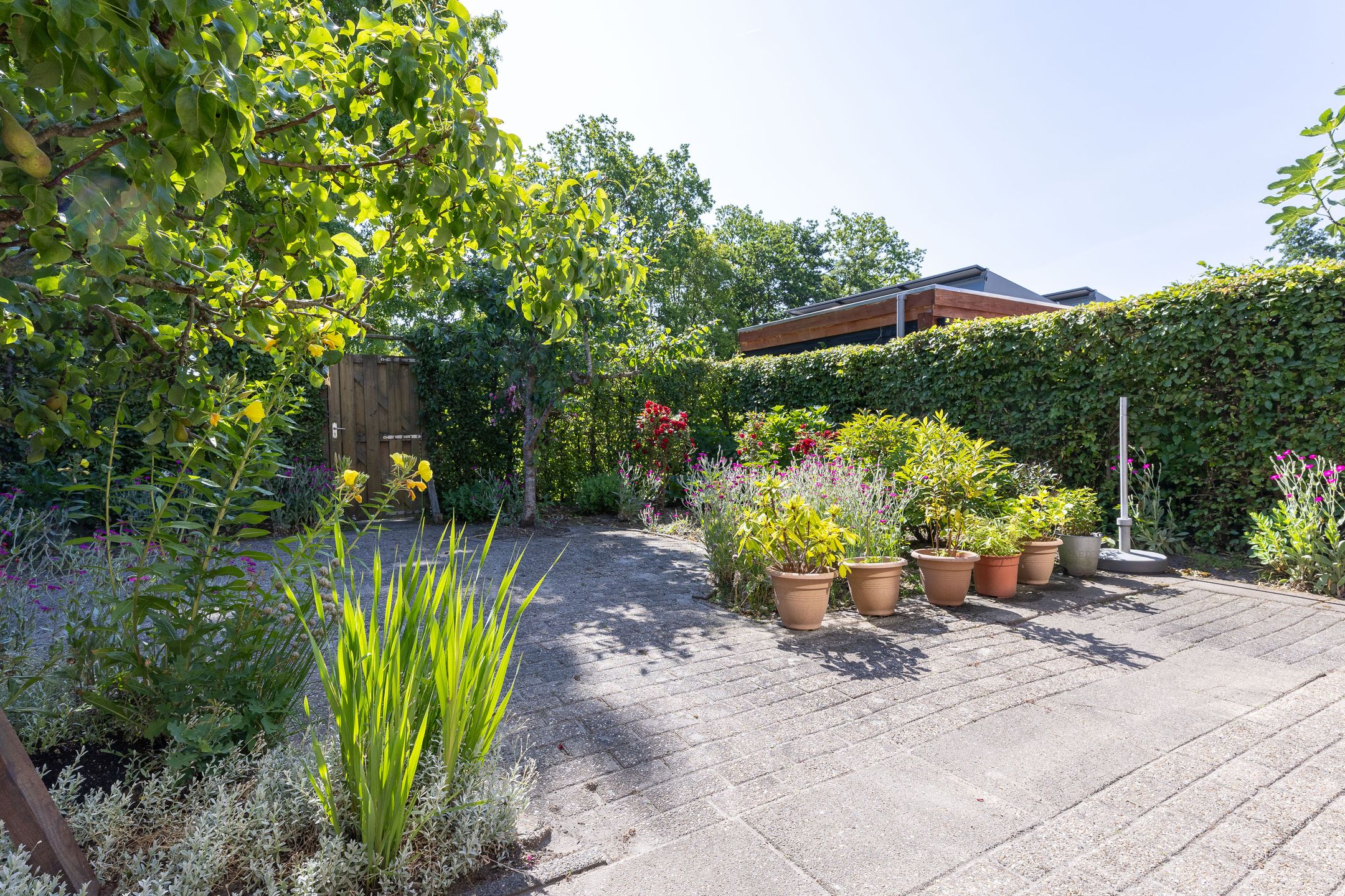 Foto 33 van Binnenplaats 44