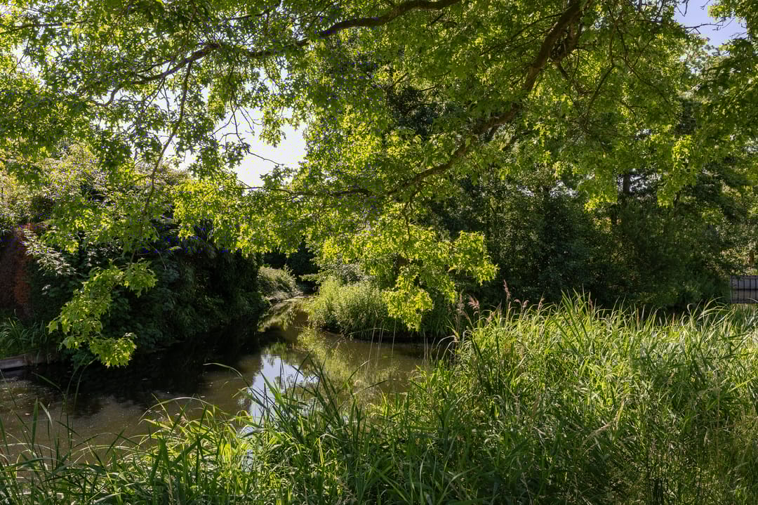 Foto 38 van Binnenplaats 44