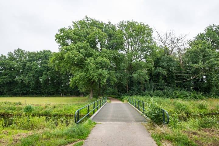 Foto 44 van Bevrijding 73