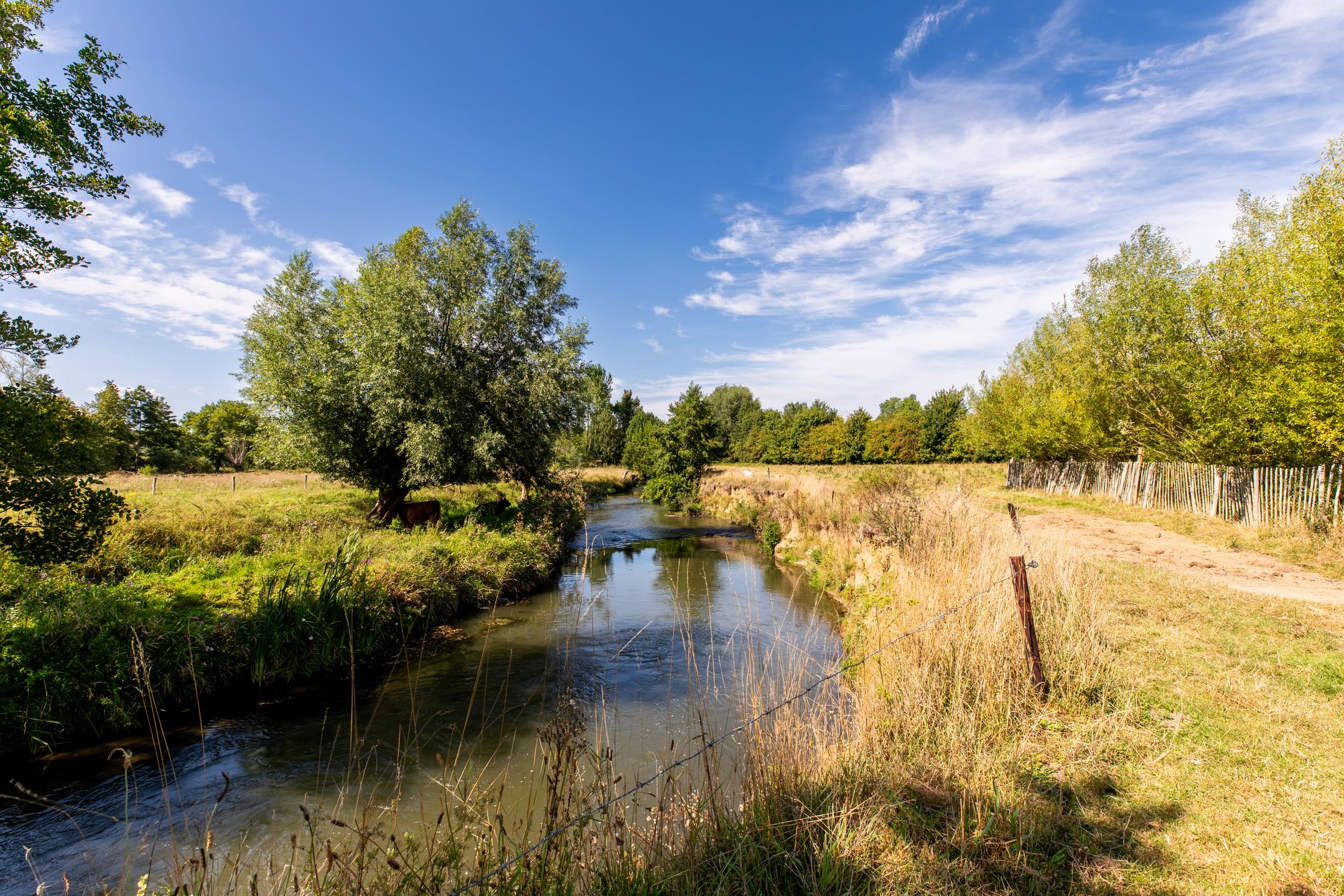 Foto 15 van Valkenburgerweg 128-132