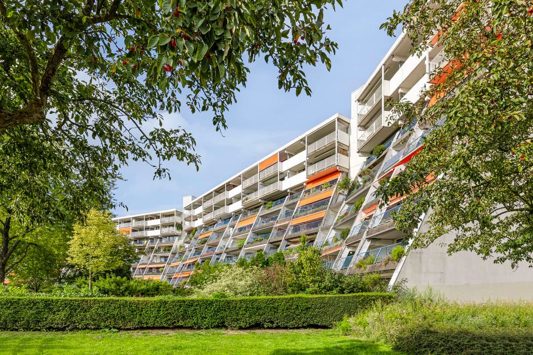 Foto 1 van Du Meelaan 546