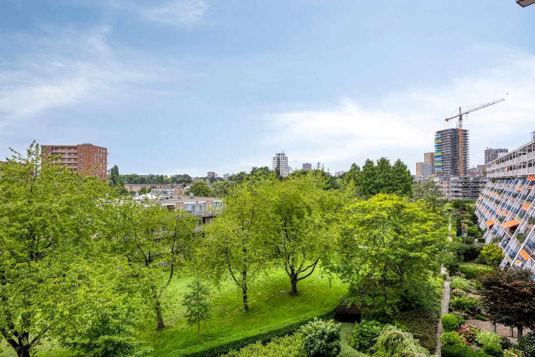 Foto 26 van Du Meelaan 546