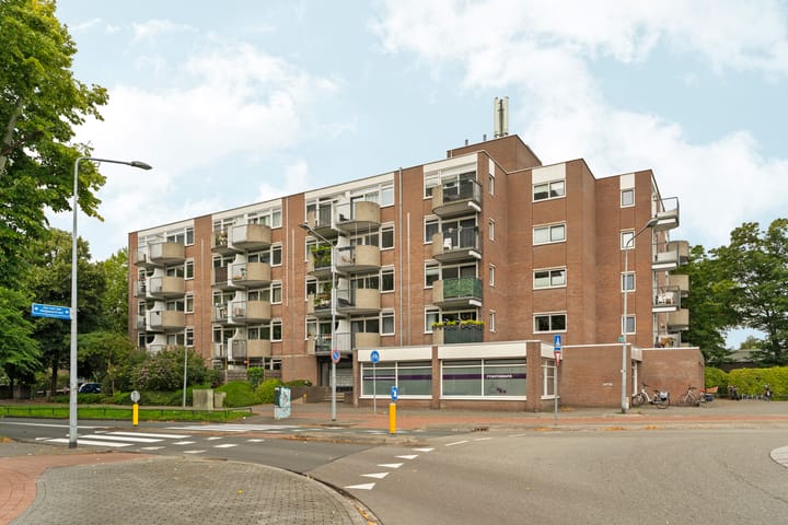 Foto 4 van Larenseweg 157-6