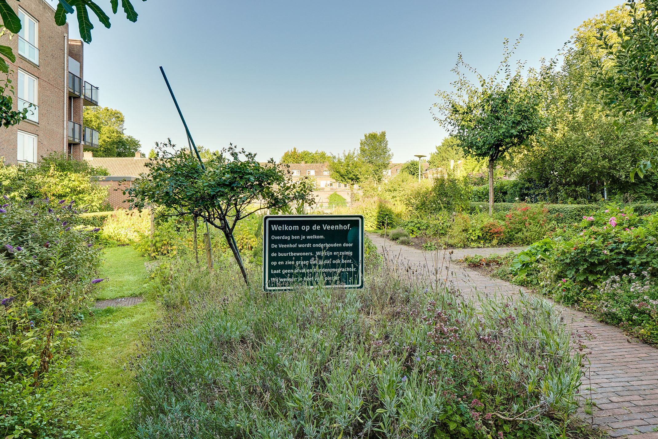 Foto 42 van Veenhof 4