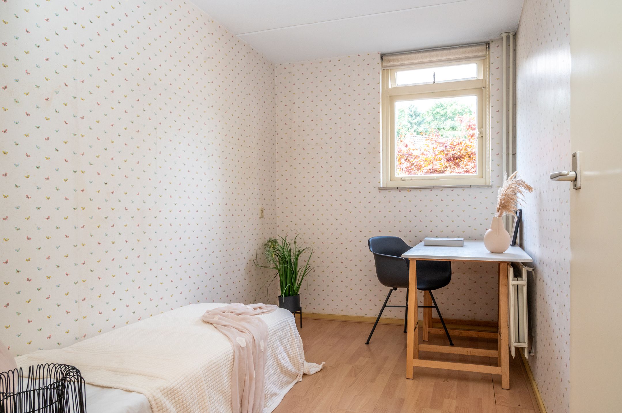 Photo 15 of Vossehol 27