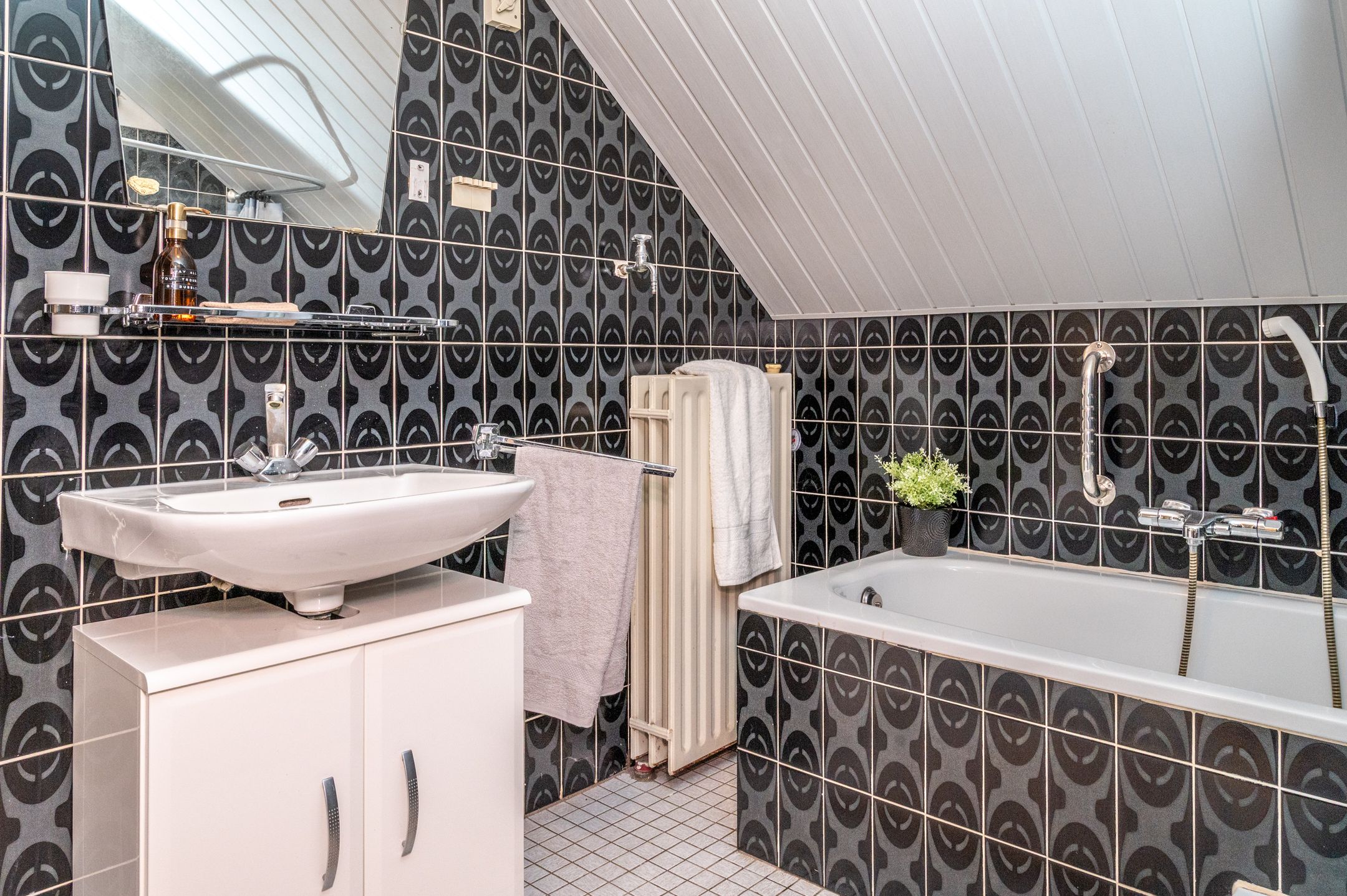 Photo 24 of Vossehol 27