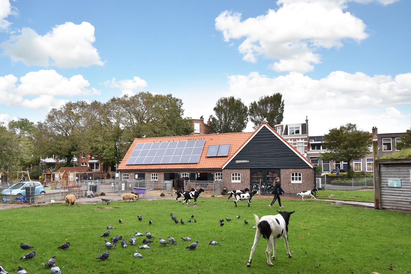 Foto 50 van Dirk Hoogenraadstraat 20-B