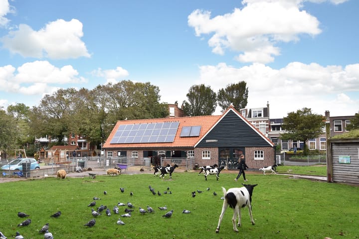 Foto 50 van Dirk Hoogenraadstraat 20-B